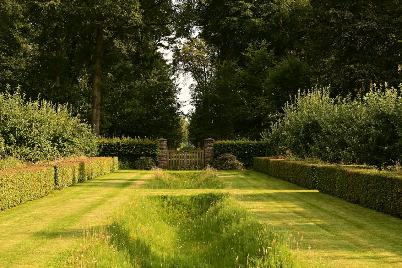 A tranquil garden pathway lined with lush greenery and trimmed hedges on a sunny summer day.