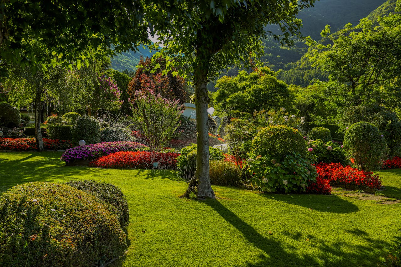A beautiful garden with colorful flowers and lush greenery on a sunny day, perfect summer setting.